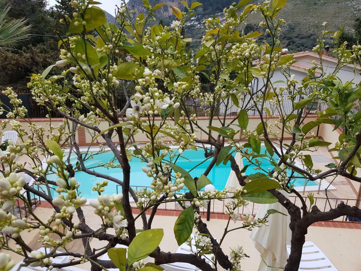 Villa Del Golfo Urio With Swimming Pool Shared By The Two Apartments Santa Flavia Kültér fotó